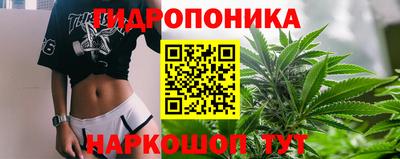 крисы Мариинск